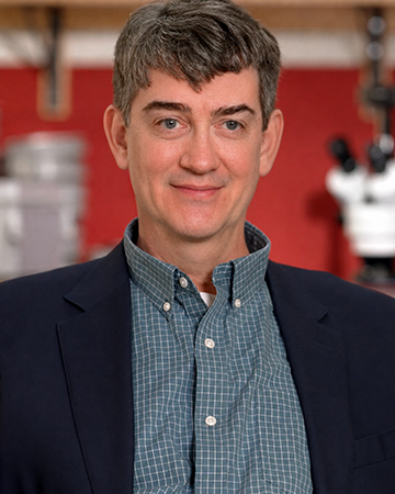 Chris Mullins