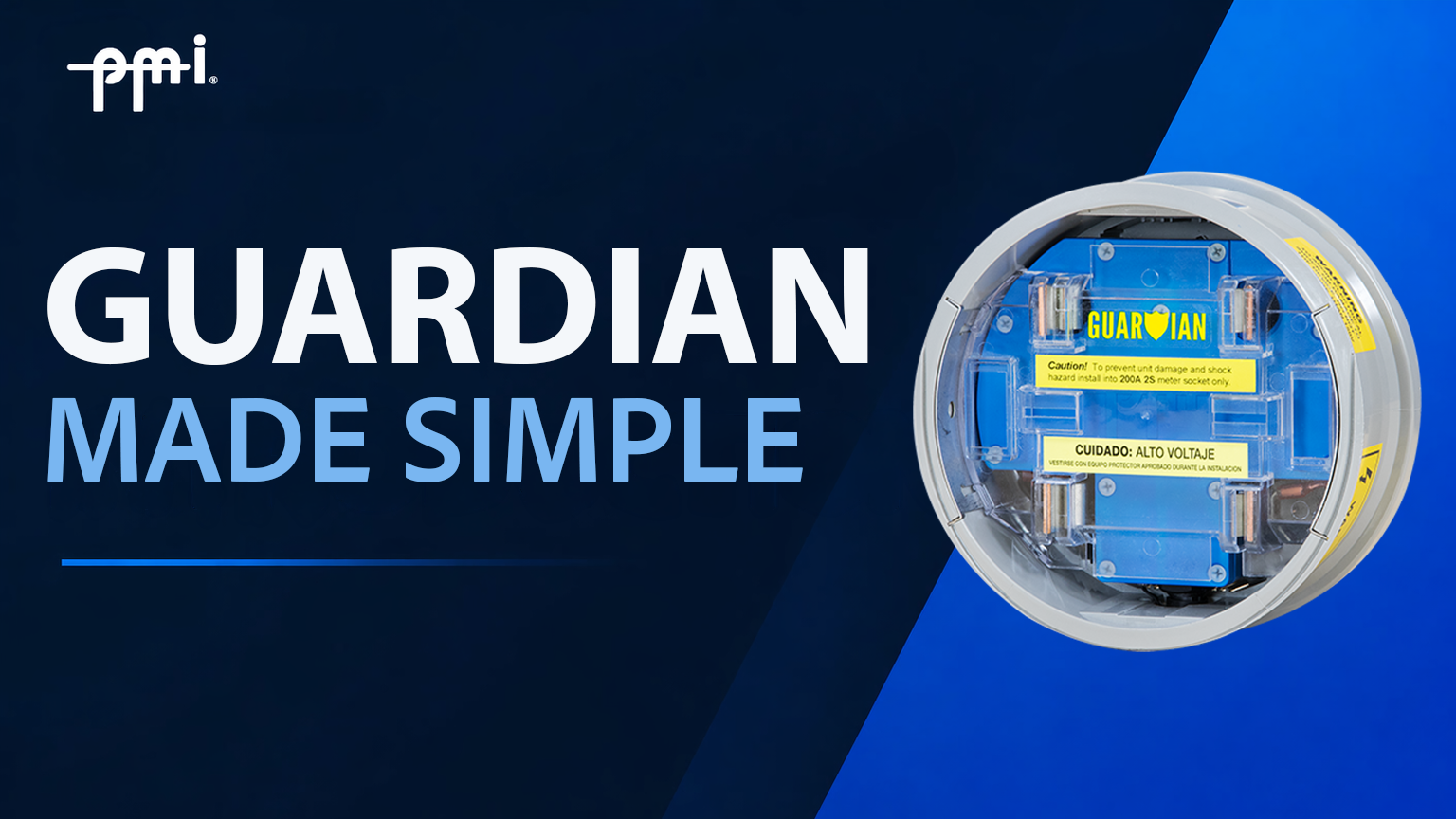 Guardian video thumbnail